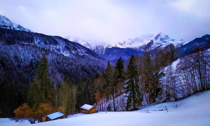 Berggasthof Hintergraseck